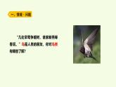3 鳥（課件）2025-2026學年青島版（63制）三年級科學上冊
