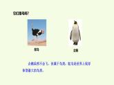 3 鳥（課件）2025-2026學年青島版（63制）三年級科學上冊