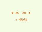 4 哺乳動物（課件）2025-2026學年青島版（63制）三年級科學上冊