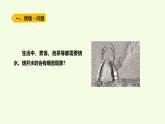18 水沸騰（課件）2025-2026學年青島版（63制）三年級科學上冊