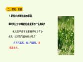 19 水蒸氣凝結(jié)（課件）2025-2026學年青島版（63制）三年級科學上冊