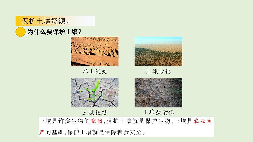 2.土壤的种类（课件）2025-2026学年青岛版（54制）三年级科学上册第8页