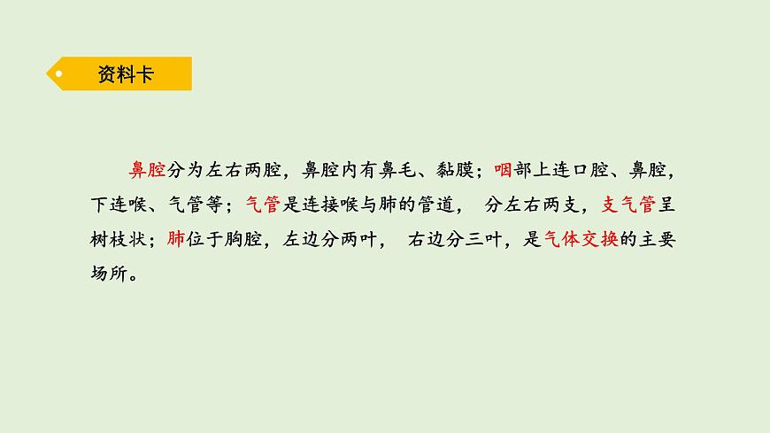 12.我们的呼吸器官（课件）2025-2026学年青岛版（54制）三年级科学上册第5页