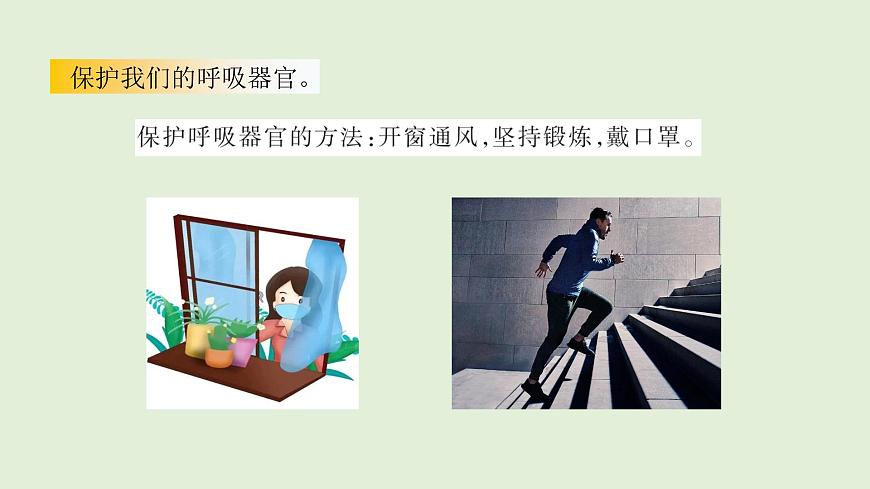 12.我们的呼吸器官（课件）2025-2026学年青岛版（54制）三年级科学上册第6页