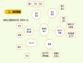 第三單元復(fù)習(xí)（課件）2025-2026學(xué)年教科版三年級(jí)科學(xué)上冊(cè)