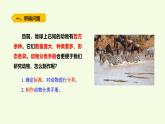 5 制作動物分類手冊（課件）2025-2026學年青島版（63制）三年級科學上冊