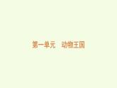 第一單元復習（課件）2025-2026學年青島版（63制）三年級科學上冊