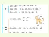 第一單元復習（課件）2025-2026學年青島版（63制）三年級科學上冊