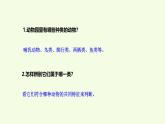 第一單元復習（課件）2025-2026學年青島版（63制）三年級科學上冊