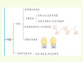 第二單元復習（課件）2025-2026學年青島版（63制）三年級科學上冊