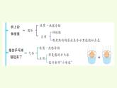 第三單元復習（課件）2025-2026學年青島版（63制）三年級科學上冊