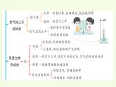 第三單元復習（課件）2025-2026學年青島版（63制）三年級科學上冊
