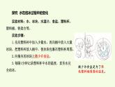 20 水結(jié)冰與冰熔化（課件）2025-2026學年青島版（63制）三年級科學上冊