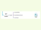 第四單元復習（課件）2025-2026學年青島版（63制）三年級科學上冊