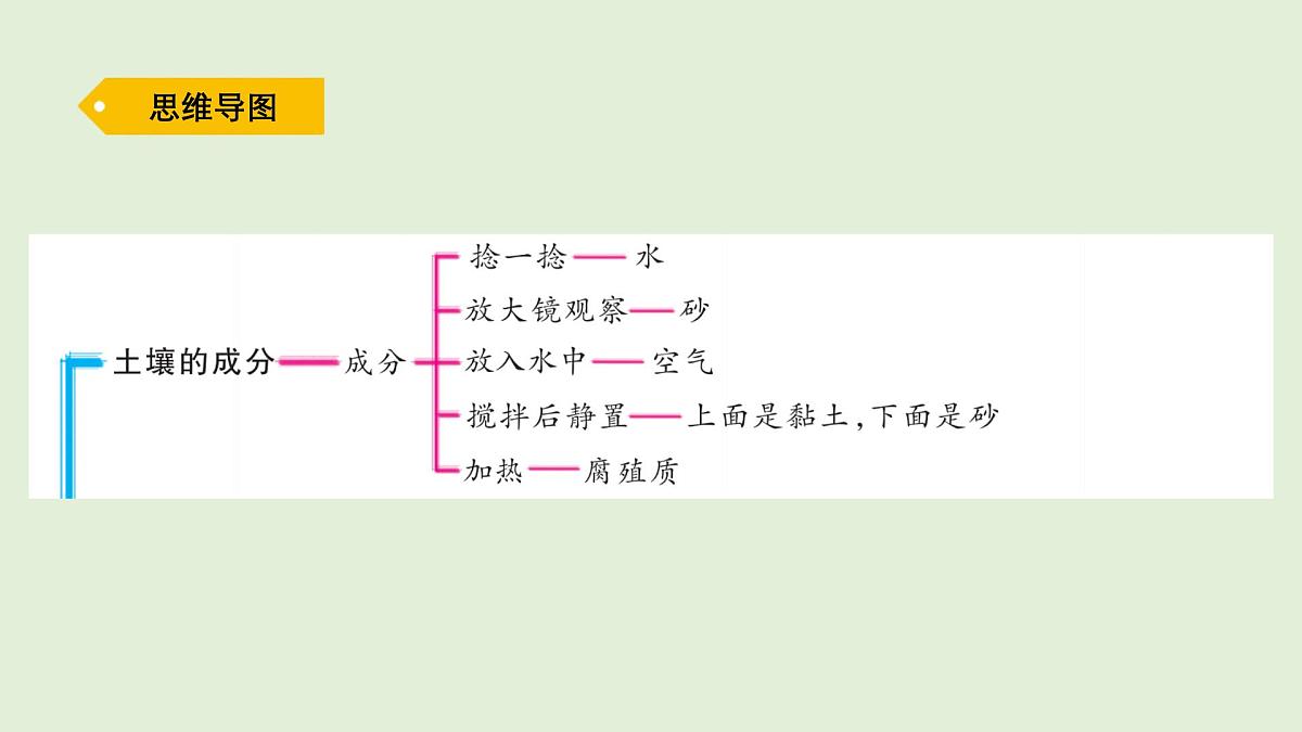 第一单元复习（课件）2025-2026学年青岛版（54制）三年级科学上册第2页