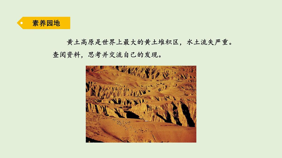 第一单元复习（课件）2025-2026学年青岛版（54制）三年级科学上册第5页