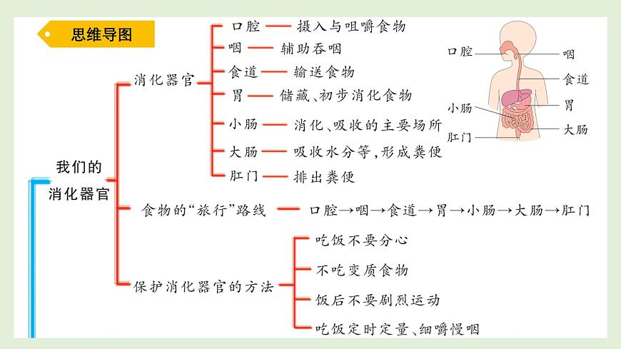 第三单元复习（课件）2025-2026学年青岛版（54制）三年级科学上册第2页