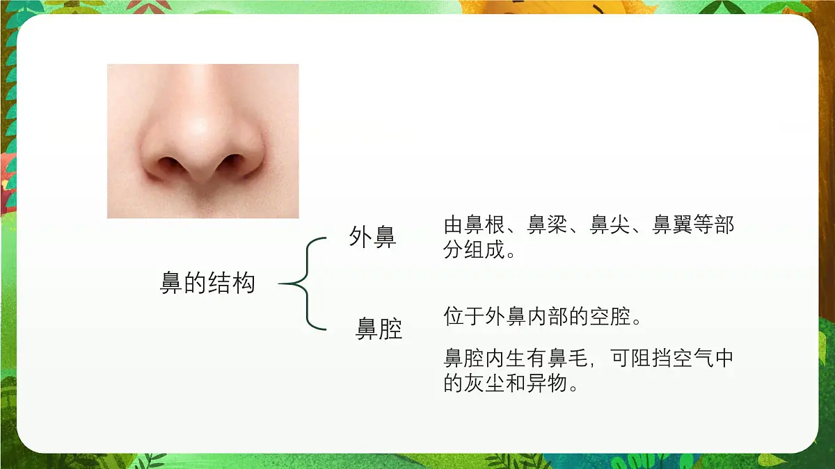 青岛版（五四制2024）科学一上2.7 闻和尝 课件第4页
