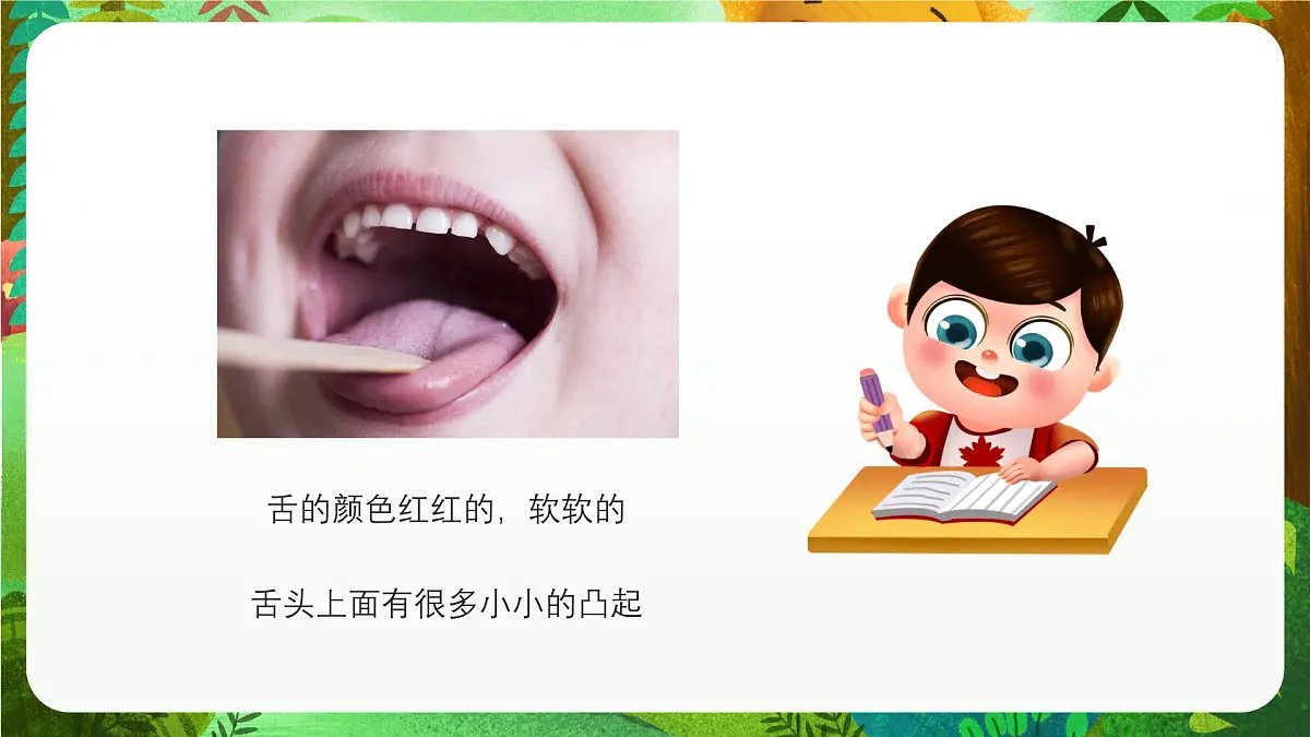 青岛版（五四制2024）科学一上2.7 闻和尝 课件第5页