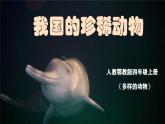 人教鄂教版科學六年級上冊《我國的珍稀動物》2025（ 新制作 ）課件