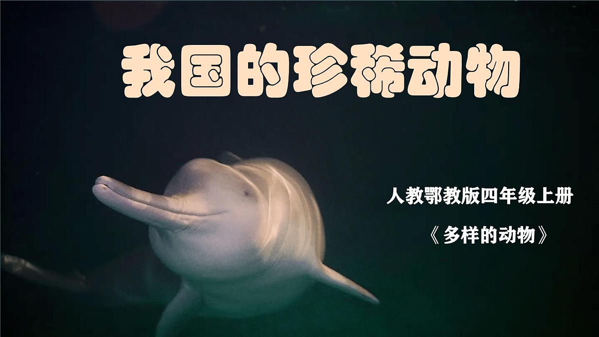 人教鄂教版科学六年级上册《我国的珍稀动物》2025（ 新制作 ）课件第1页