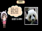 人教鄂教版科學六年級上冊《我國的珍稀動物》2025（ 新制作 ）課件