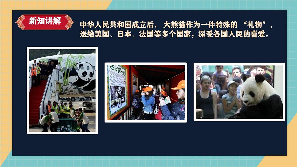 人教鄂教版科学六年级上册《我国的珍稀动物》2025（ 新制作 ）课件第4页