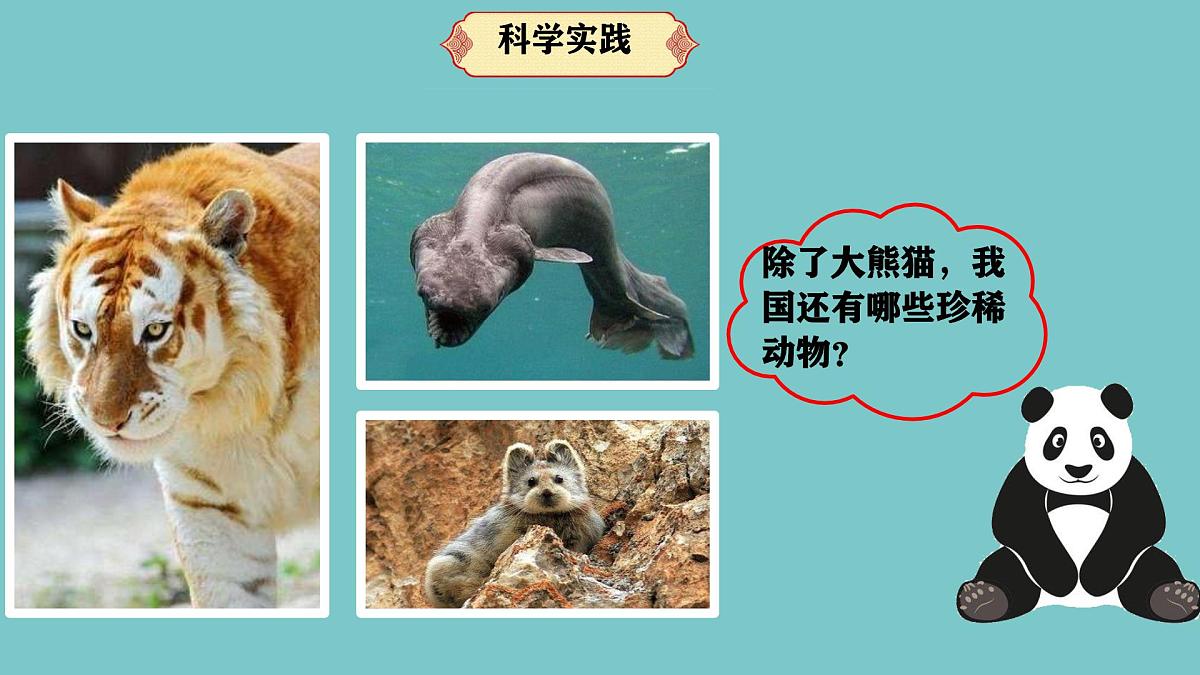 人教鄂教版科学六年级上册《我国的珍稀动物》2025（ 新制作 ）课件第8页