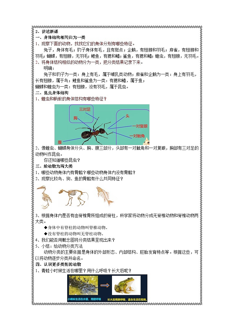 《动物的分类 》教学设计1第2页