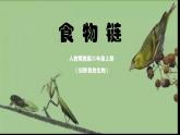 人教鄂教版小學(xué)科學(xué)六上《食物鏈》 課件