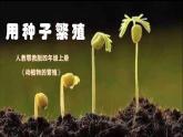 人教鄂教版小學科學四上2.4《用種子繁殖》2025新做的課件