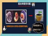 人教鄂教版小學科學四上2.4《用種子繁殖》2025新做的課件