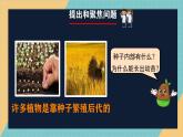 人教鄂教版小學科學四上2.4《用種子繁殖》2025新做的課件