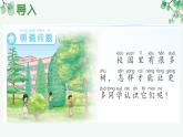 青島版（2024年）小學(xué)科學(xué)一年級(jí)上冊(cè)9.給樹做“名片” 教學(xué)課件