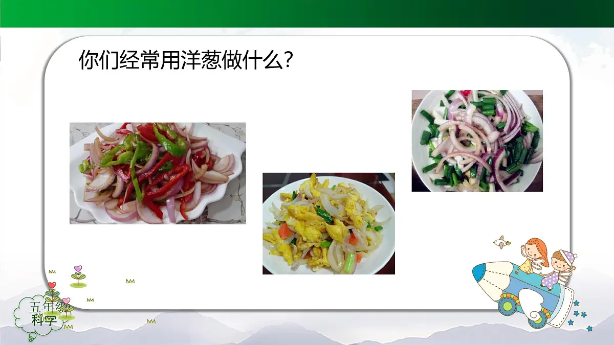 2025年秋人教鄂教版五年级科学上册 9.显微镜下的细胞（课件）第3页