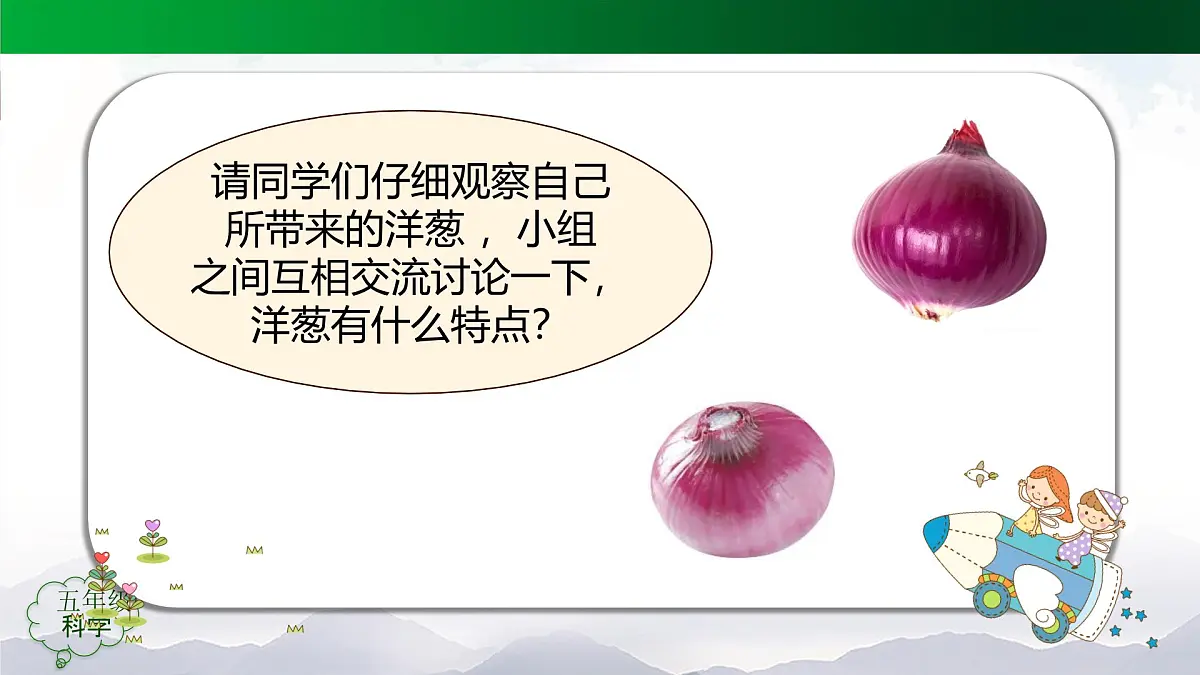 2025年秋人教鄂教版五年级科学上册 9.显微镜下的细胞（课件）第4页