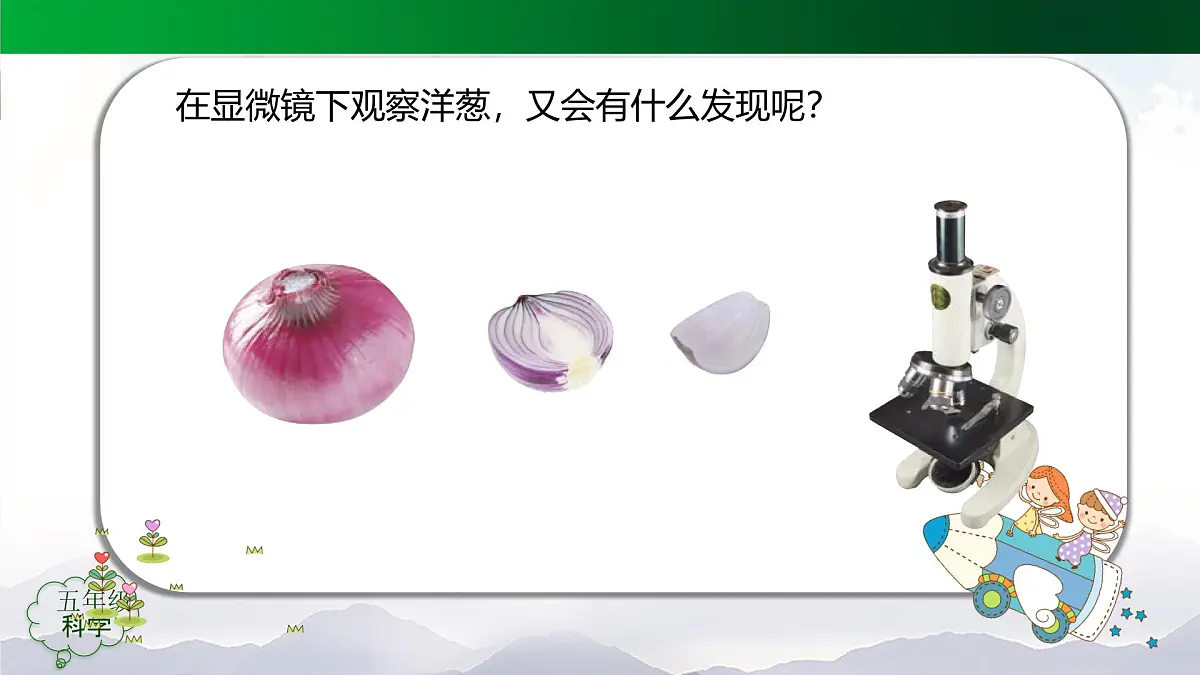 2025年秋人教鄂教版五年级科学上册 9.显微镜下的细胞（课件）第5页