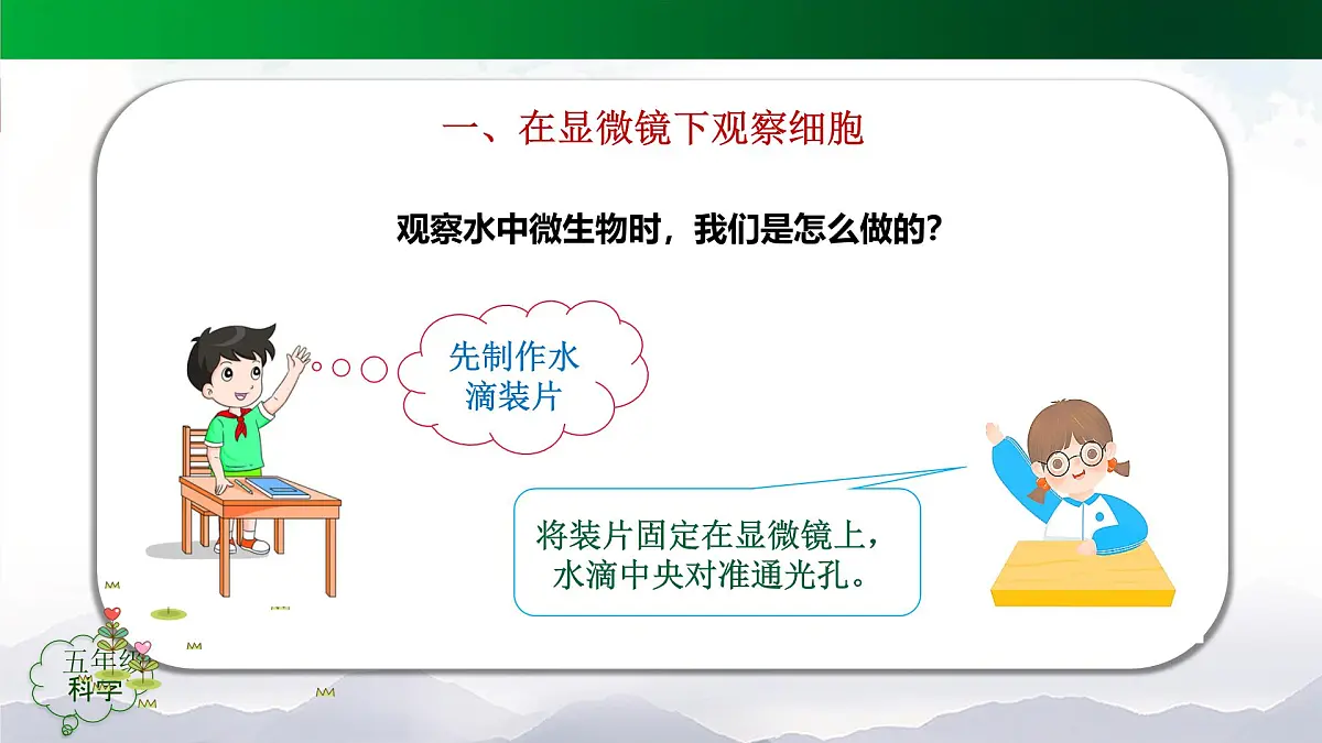 2025年秋人教鄂教版五年级科学上册 9.显微镜下的细胞（课件）第6页