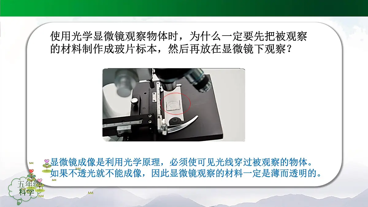 2025年秋人教鄂教版五年级科学上册 9.显微镜下的细胞（课件）第7页