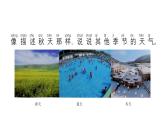 小學科學新蘇教版二年級上冊第一單元3 四季的天氣教學課件（2025秋）