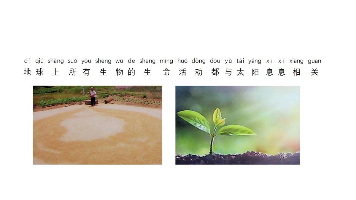 小学科学新苏教版二年级上册第二单元4晒太阳教学课件（2025秋）第3页