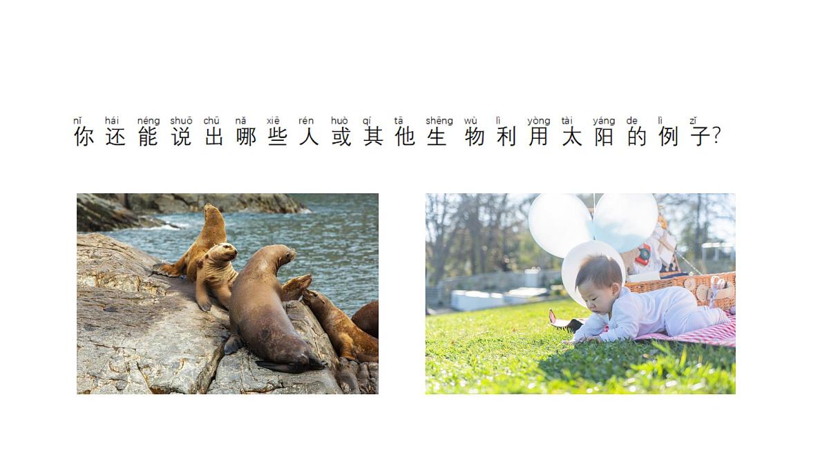 小学科学新苏教版二年级上册第二单元4晒太阳教学课件（2025秋）第4页