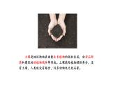 小學(xué)科學(xué)新蘇教版三年級上冊第一單元1.土壤里面有什么教學(xué)課件（2025秋）