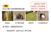 小學(xué)科學(xué)新蘇教版三年級上冊第一單元1.土壤里面有什么教學(xué)課件（2025秋）