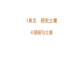 小學(xué)科學(xué)新蘇教版三年級上冊第一單元4.植被與土壤教學(xué)課件（2025秋）