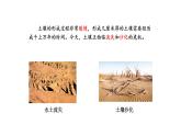 小學(xué)科學(xué)新蘇教版三年級上冊第一單元4.植被與土壤教學(xué)課件（2025秋）