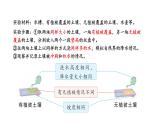 小學(xué)科學(xué)新蘇教版三年級上冊第一單元4.植被與土壤教學(xué)課件（2025秋）