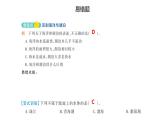 小學(xué)科學(xué)新蘇教版三年級(jí)上冊第三單元 單元復(fù)習(xí)教學(xué)課件（2025秋）