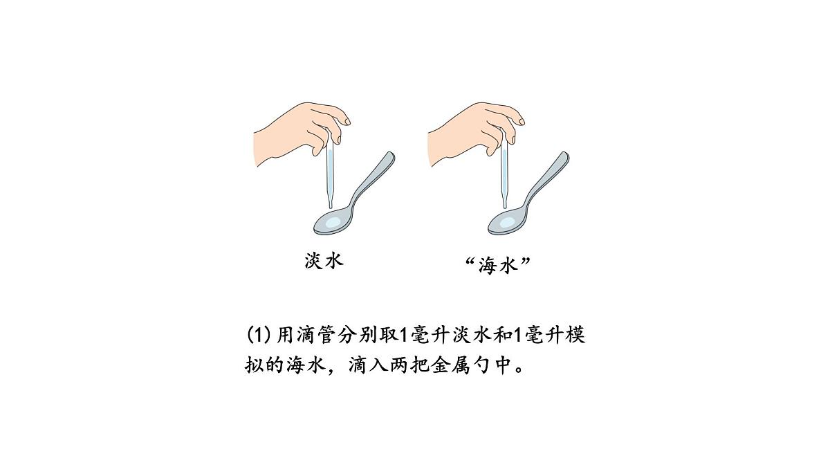 小学科学新苏教版三年级上册第三单元11.海洋教学课件（2025秋）第5页