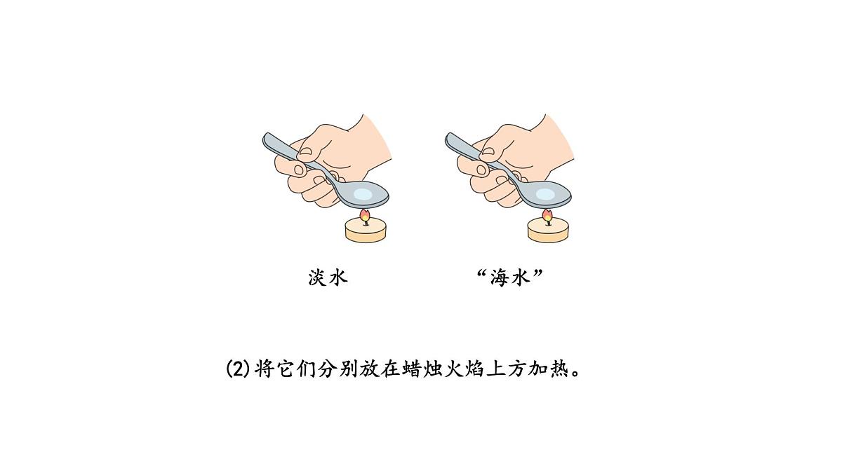 小学科学新苏教版三年级上册第三单元11.海洋教学课件（2025秋）第6页